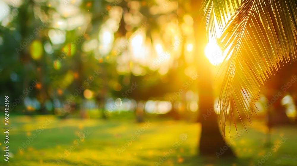 Poster blur nature bokeh green park by beach and tropical coconut trees in sunset time : generative ai