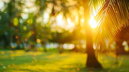 Blur nature bokeh green park by beach and tropical coconut trees in sunset time : Generative AI