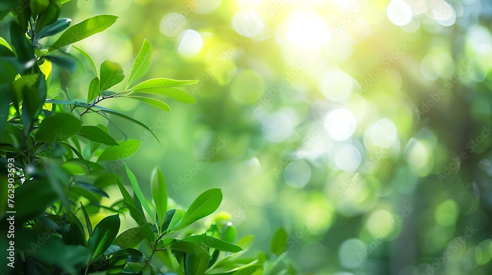 Aufkleber Beautiful Nature defocused bokeh green background texture Blurred crown trees in garden closeup Natural spring backdrop With Copy Space for design : Generative AI