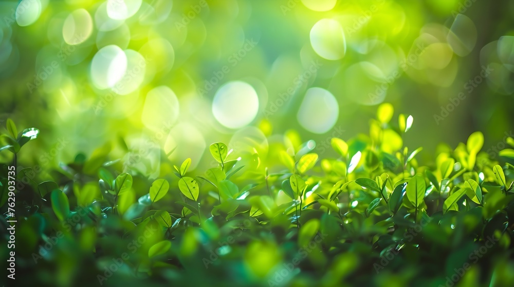 Poster natural green bokeh background : Generative AI