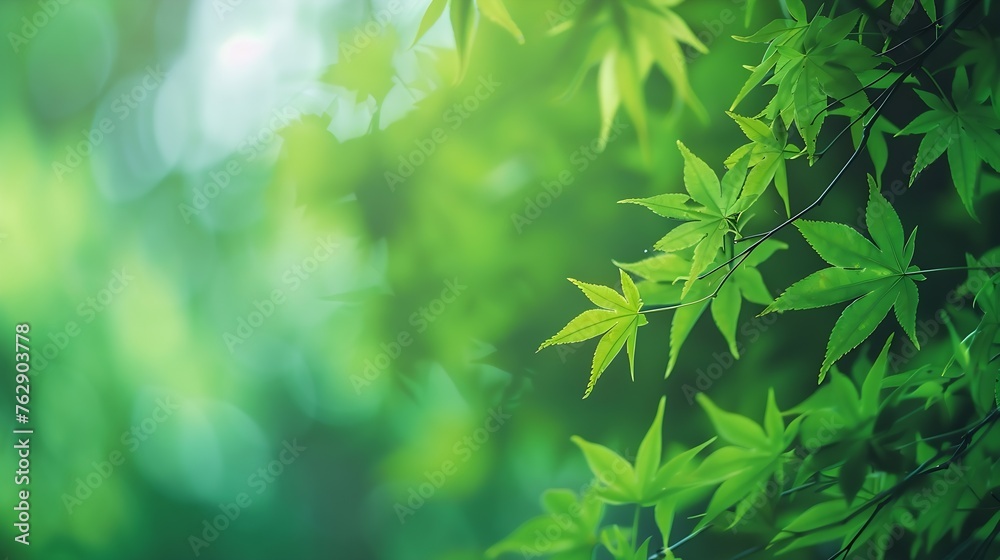 Aufkleber blurred greenery leaves of tree forest : generative ai