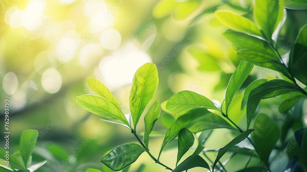 Poster closeup macro soft focus fresh green leaves abstract blur backgroundconcept idea for ecology backdro