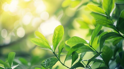 Closeup macro soft focus fresh green leaves abstract blur backgroundconcept idea for ecology backdropdesktop wallpaperwebsite cover design : Generative AI