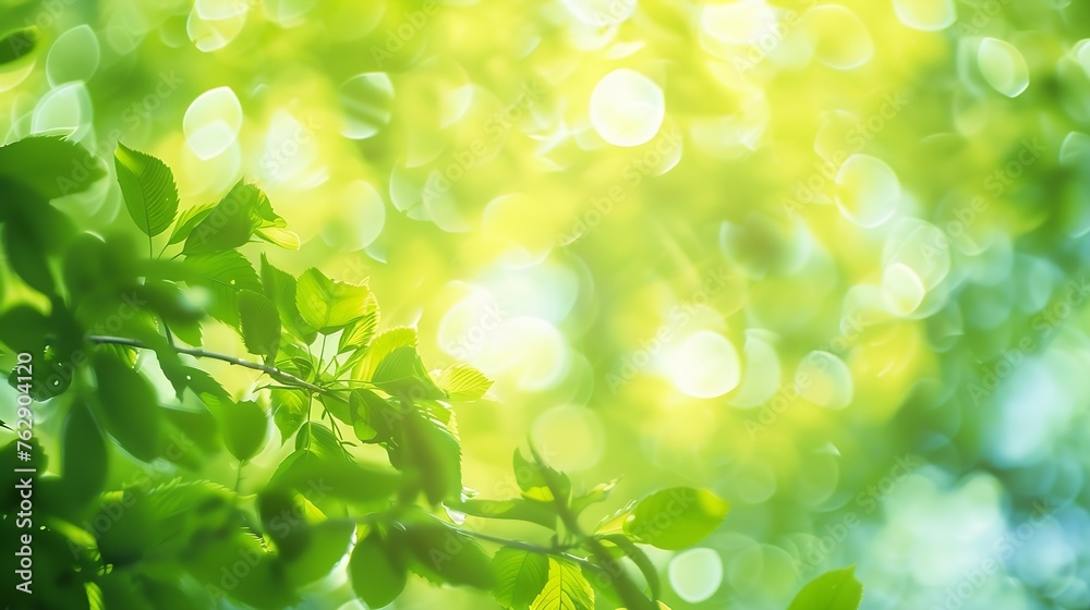 Poster abstract blur green color for backgroundblurred and defocused effect spring concept for designnature