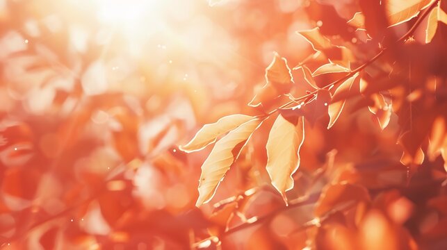 Blur nature background view looking up autumn orange foliage tree leaf against sky facing sun flare bokeh : Generative AI