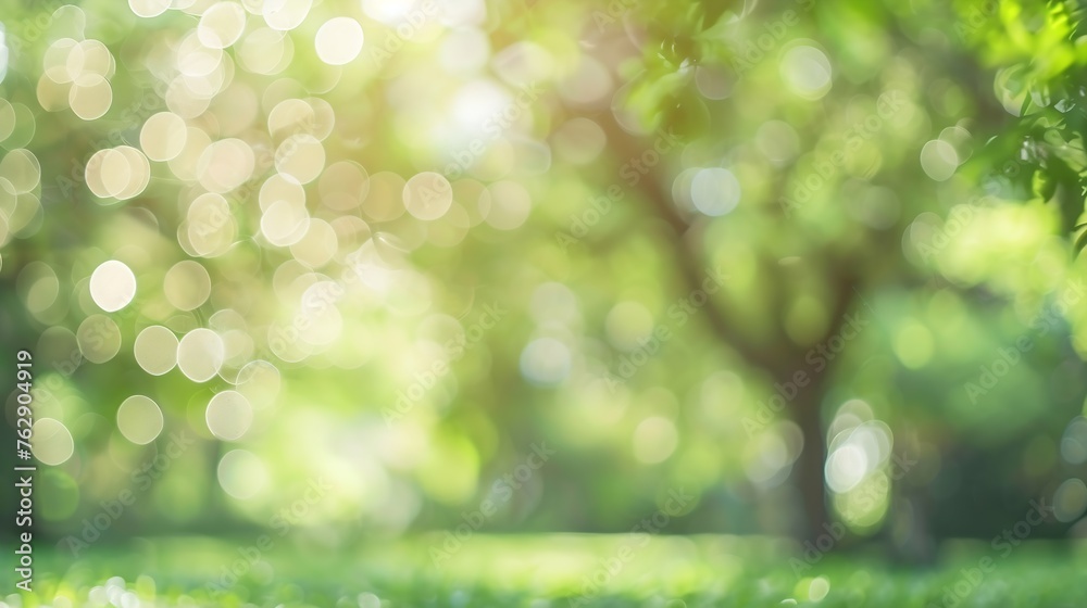 Poster blur garden tree nature background with bokeh light blurred spring green garden park in spring and s