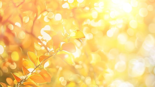 sunlight through leaves on tree image blur bokeh background Background yellow blur beautiful is the bokeh effect nature color autumn time fall  season : Generative AI