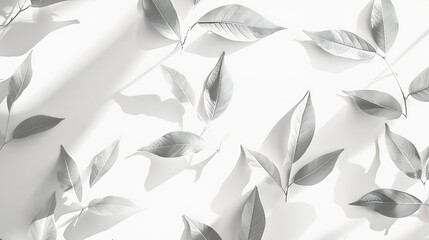 Leaves natural shadow overlay on white texture background for overlay on product presentation backdrop and mockup summer seasonal concept : Generative AI