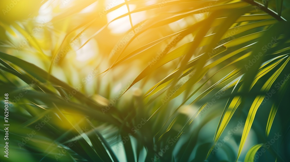 Poster coconut tree leaves blur in spring for nature background : generative ai