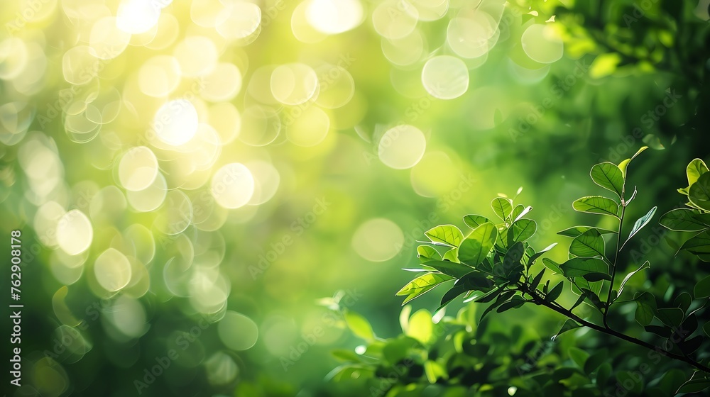 Aufkleber Beautiful Nature defocused bokeh green background texture Blurred crown trees in garden closeup Natural spring backdrop With Copy Space for design : Generative AI