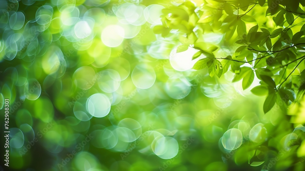 Poster Green color abstract blur bokeh background from tree and light in natural garden : Generative AI
