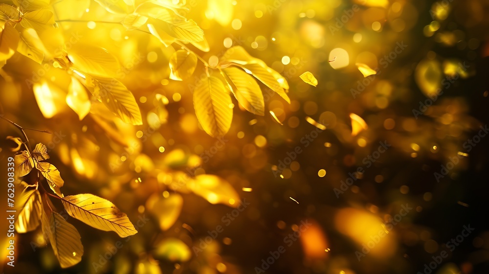 Poster beautiful blurred autumn background with yellowgold leaves in the rays of sunlight on a dark natural