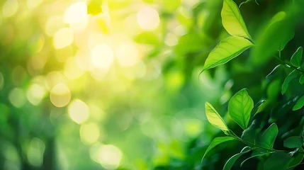 Gordijnen Beautiful nature view of green leaf on blurred greenery background in garden and sunlight with copy space using as background natural green plants landscape ecology fresh wallpaper con : Generative AI © Generative AI