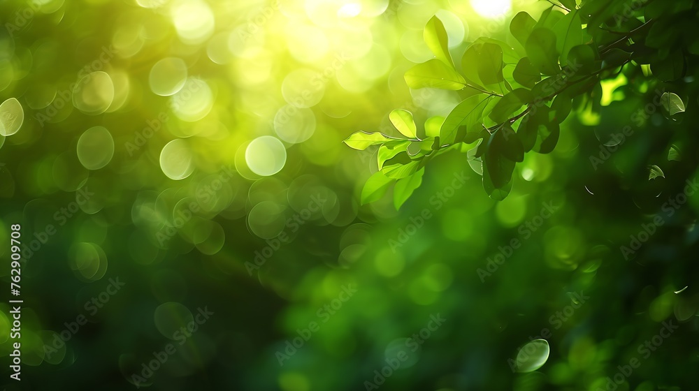 Poster Green bokeh out of focus background from nature forest : Generative AI