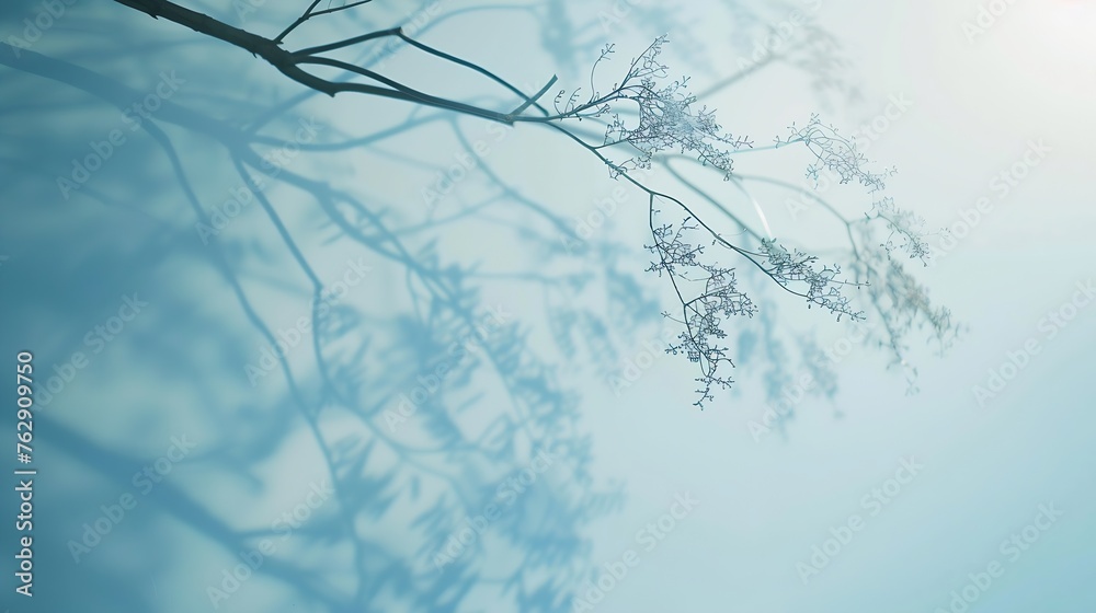Aufkleber Minimalistic abstract gentle light blue background for product presentation with light and intricate shadow from tree branches on wall : Generative AI
