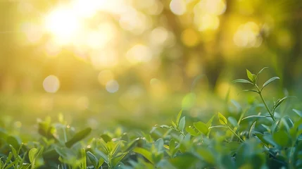 Fototapeten Defocused image blur of fresh green spring summer landscape with sun shining : Generative AI © Generative AI