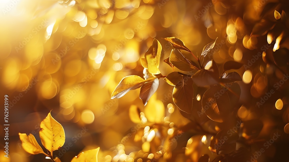 Aufkleber beautiful blurred autumn background with yellowgold leaves in the rays of sunlight on a dark natural