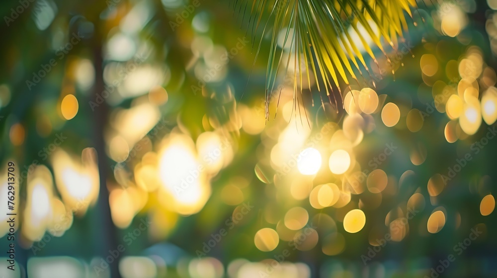 Poster blur nature bokeh green park by beach and tropical coconut trees in sunset time : generative ai