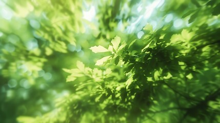 Fototapeta na wymiar Green blurry trees leaves abstract background motion blur banner : Generative AI
