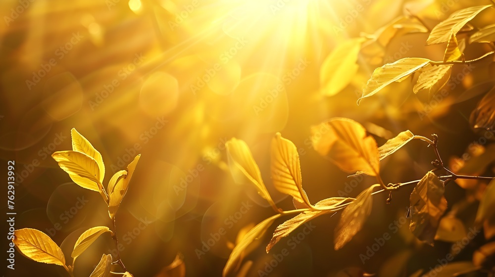 Aufkleber beautiful blurred autumn background with yellowgold leaves in the rays of sunlight on a dark natural