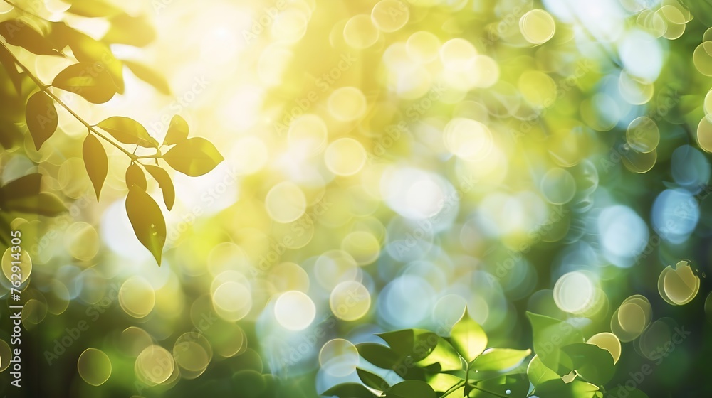 Poster blur nature green park with bokeh sun light abstract background copy space of travel nature adventur