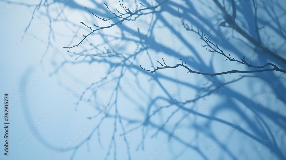 Aufkleber Minimalistic abstract gentle light blue background for product presentation with light and intricate shadow from tree branches on wall : Generative AI