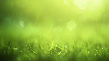 Rolgordijnen Lawn blur with soft light for background : Generative AI © Generative AI