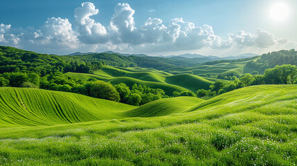 Wide wallpaper background image of long empty grass mountain valley landscape with beautiful greenish grass field and blue sky with white clouds   