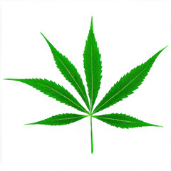 cannabis marijuana leaf transparent background