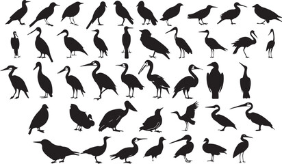 Birds Flying Silhouettes white background 