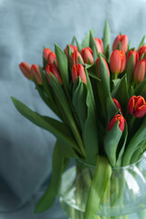 Fresh spring tulips bouquet in vase