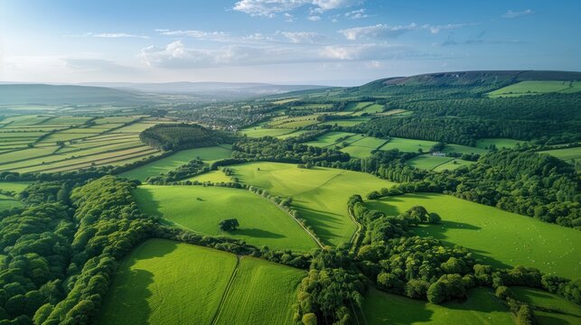 Panoramic view of lush countryside with vibrant green fields from above