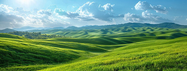 Wide wallpaper background image of long empty grass mountain valley landscape with beautiful greenish grass field and blue sky with white clouds    - obrazy, fototapety, plakaty