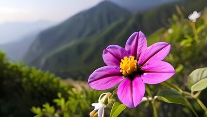 flowers in the mountains - Powered by Adobe