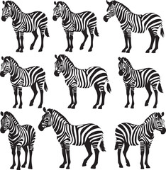 Set of Zebra black isolated on white background