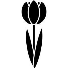 Tulip Icon - obrazy, fototapety, plakaty