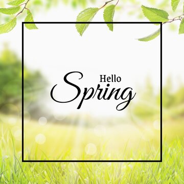 hello spring text sign, beautiful pink tulips on white rustic wooden background flat lay. flowers in soft morning sunlight with space for text. greeting card concept.