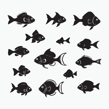 Beautiful fish  , black silhouette outline