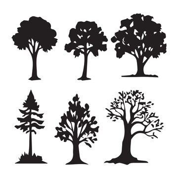 Beautiful vector trees , black silhouette outline