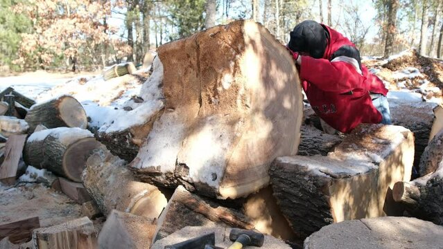 Slow motion of man in red jacket pushing large and heavy slab of oak cut from bigger log while preparing firewood for winter season.