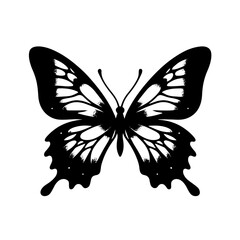 black and white Butterfly Silhouette - stock vector