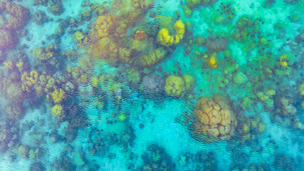 Top view. Summer sea water, blue surface. The water is clear with ripples and sparkles in the sunlight and you can see coral under the sea.