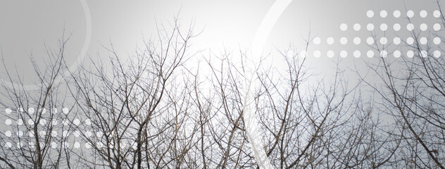 Geometric Shapes Background with Dry Branches