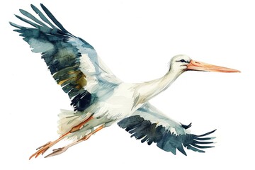 Watercolor painting of flying white stork.