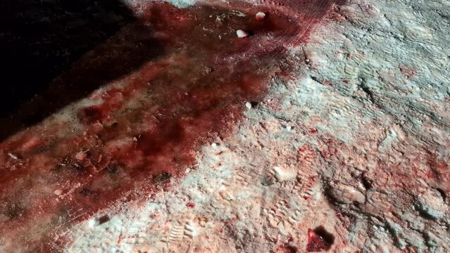 POV shot in front of animal guts and blood, outdoors in snow, during nighttime