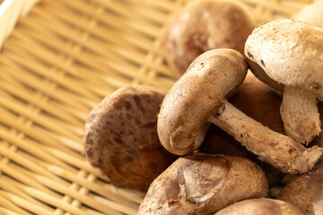 竹のザルに盛られたしいたけ