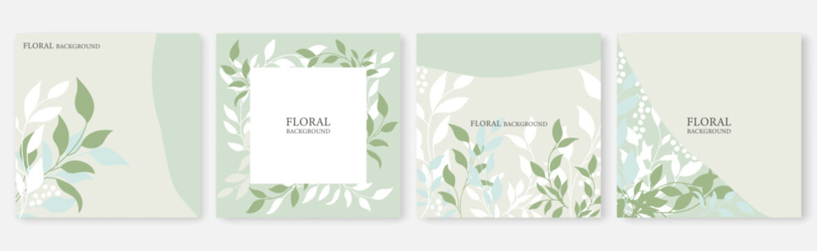 Leaves Floral Square Templates Set. Botanical Backgrounds for Invitation, Social Media, web, Mobile Apps, Posters, Cards, Banners. Vector Illustration