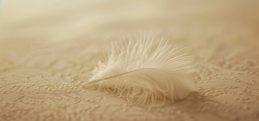 A single delicate white feather lying on a textured fabric surface, conveying softness and elegance.