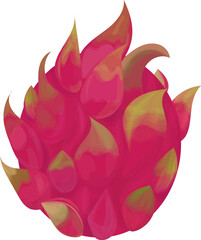 Dragonfruit like a fire flower