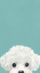 Cute poodle illustration  | High Quality | Wallpaper
